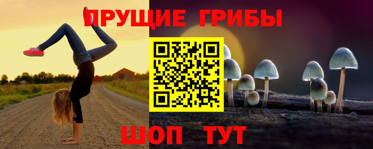 Галлюциногенные грибы MAGIC MUSHROOMS Усть-Илимск